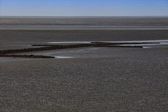Wadden Sea National Park at low tide