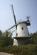 Windmill Betty