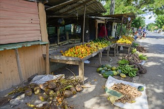 Fruit stand at El Seibo