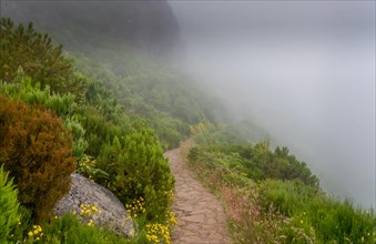 Hiking trail to Pico Ruivo