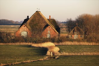 Historic Eiderstedter Haubarg