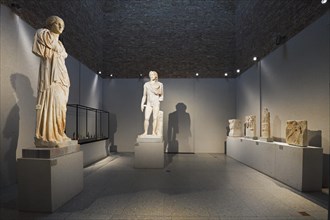 Exhibits and showcases