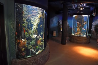 Basins and aquariums in the Sylt-Aquarium