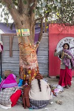 Indian woman circle the Bodhi tree. Allahabad Kumbh Mela