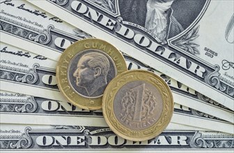 US dollar and Turkish lira