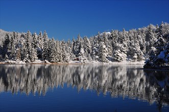 Lautersee