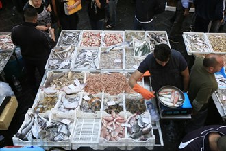 Catania Fish Market