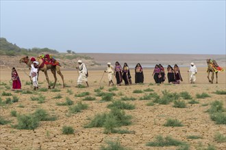 People from the Rabari tribe walking in the desert with a dromedary