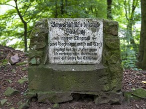 Stone plaque on the inner rampart of a settlement built by the Celts around 400 BC on the Heiligenberg