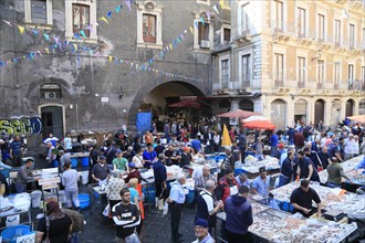 Catania Fish Market