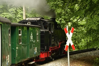 Narrow-gauge railway Rasender Roland
