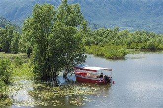 Tourist boat at anchor