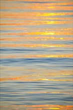 Rays of sunlight reflect on water surface of Lake Constance at sunrise and form an abstract pattern