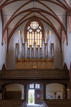 Organ in the Catholic Church of junglefowl (Gallus)