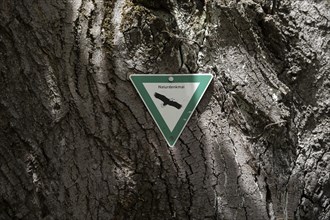 Sign natural monument on a tree