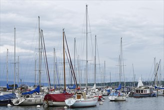 Sailboats in the harbour