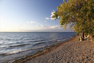 Beach on the Saint Lawrence River