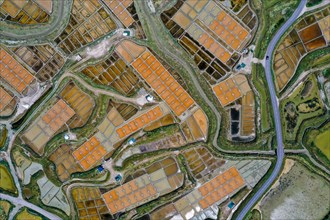 Aerial view of the salt marshes