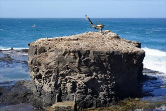 Diver statue on rocks