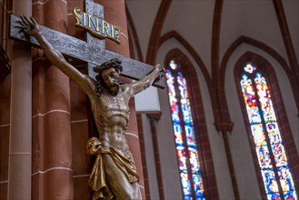 Crucifix in the Catholic Church of junglefowl (Gallus)
