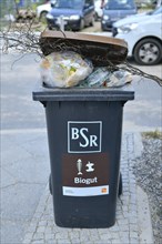 Biological waste bin