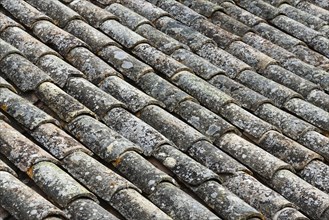 Roof tiles