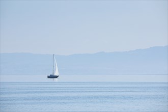 Sailing boat on shimmering blue Lake Constance in sunny weather and blue sky in summer
