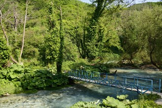Bridge over the Bistrica River