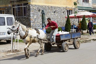 Horse with carriage and goods