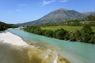 River Drino near Tepelena