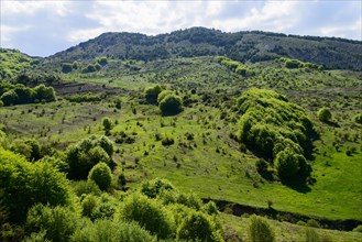 Mountainous landscape