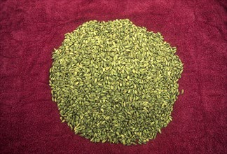 Cardomom Pods
