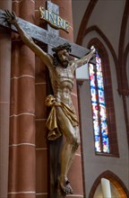 Crucifix in the Catholic Church of junglefowl (Gallus)