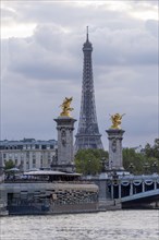 Pont Alexandre III Bridge over the Seine