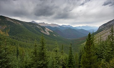 View into forested valley