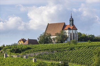 Late Gothic pilgrimage church Maria im Weingarten