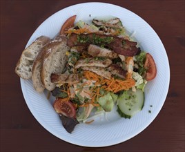 Salad plate with roasted turkey strips