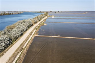 Ebro river and flooded rice fields in May