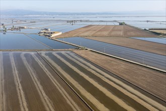 Flooded rice fields in May