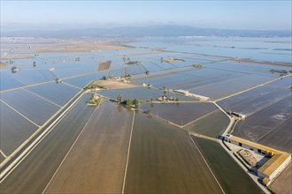 Flooded rice fields in May