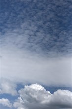 Cumulus cloud (Cumulus) and Cirrocumulus