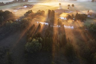 Sunrise with fog over cultivated landscape