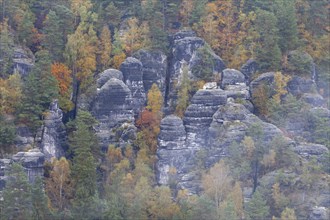 Sandstone rocks in the Bastei area