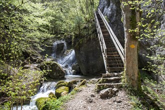 Hiking trail leads over wooden stairs past waterfall