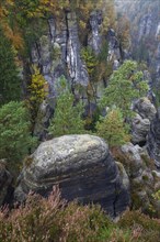 Sandstone rocks in the Bastei area