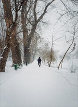 Solitary man silhouette wandering a snowy walkway in the winter park. Calm and moody scene