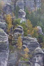 Sandstone rocks in the Bastei area