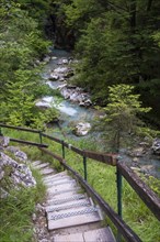 Wooden steps through the Tscheppaschlucht