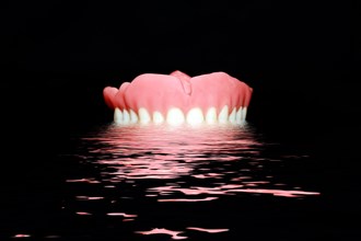 Full denture for the upper jaw made of plastic is reflected in the water