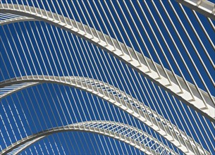 Close-up of roof structure of the Umbracle